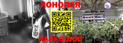 mdpv Брянск