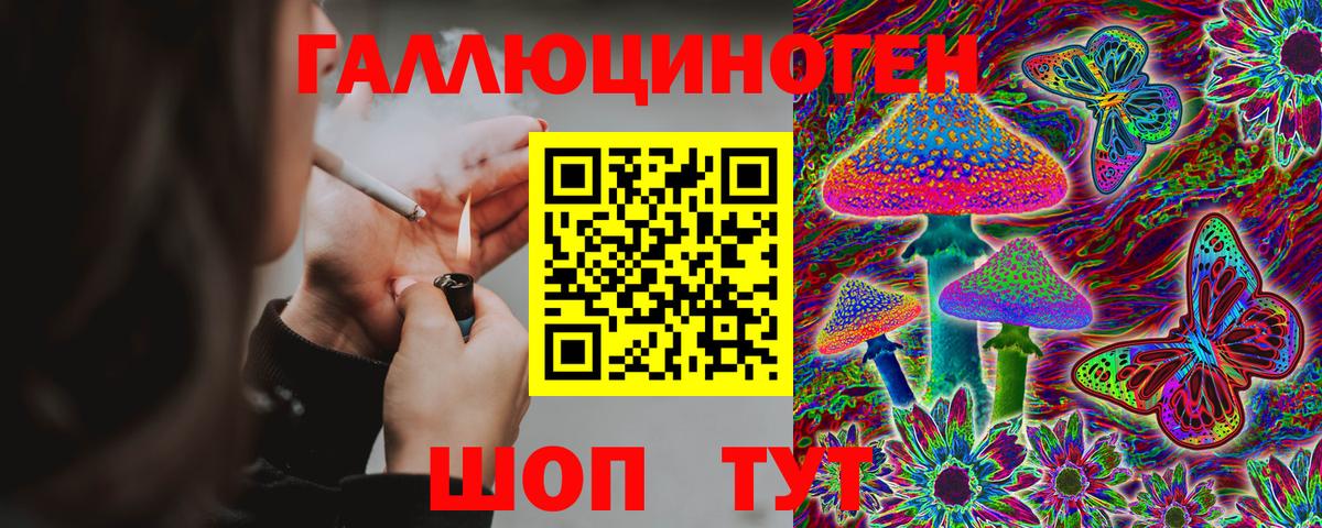 Псилоцибиновые грибы мицелий Новозыбков