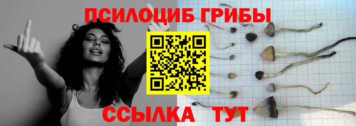 Галлюциногенные грибы Psilocybine cubensis  Вход с VPN  Новозыбков  Галлюциногенные грибы ЛСД 